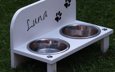 Il momento del pasto del cucciolo.